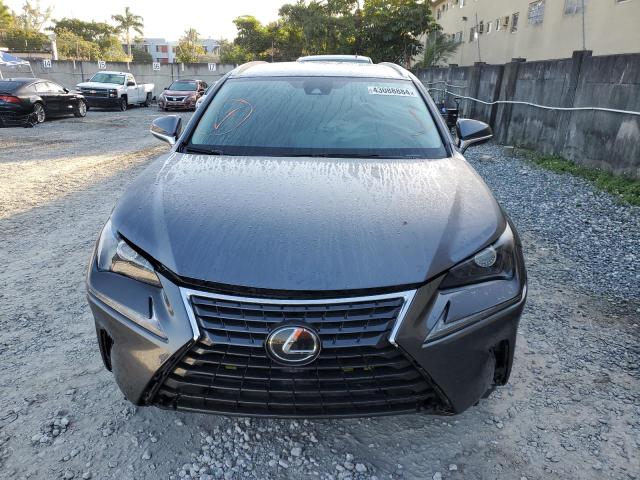 JTJAARBZXL5003171 - 2020 LEXUS NX 300 BASE Boz foto 5