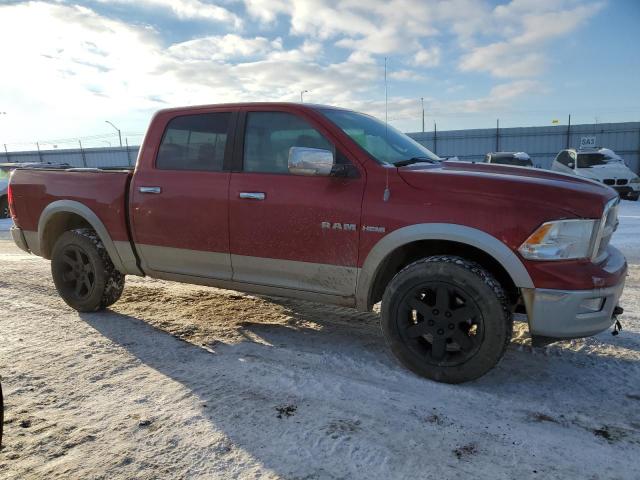 1D3HV13T89S817242 - 2009 DODGE RAM 1500 RED photo 4