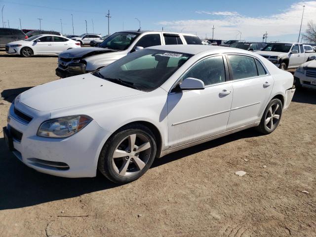 1G1ZJ57B29F118904 - 2009 CHEVROLET MALIBU 2LT WHITE photo 1