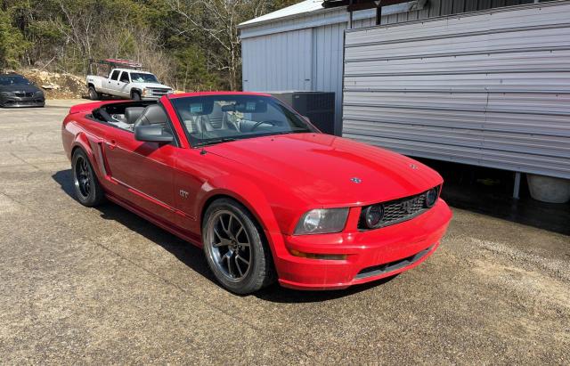 1ZVHT85H555242491 - 2005 FORD MUSTANG GT RED photo 1