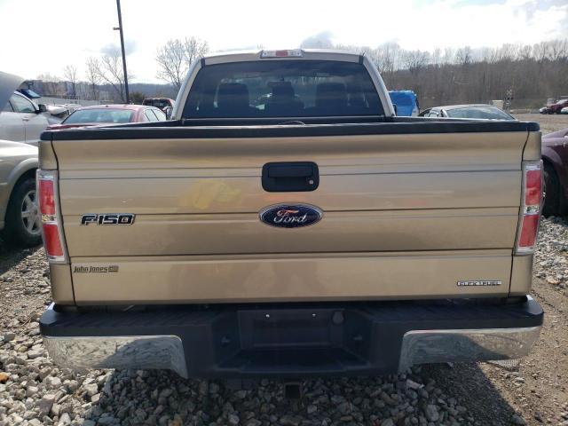 1FTMF1CF3EFB15881 - 2014 FORD F150 BEIGE photo 6