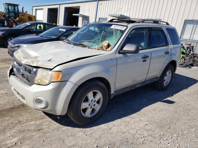 1FMCU93G29KA10671 - 2009 FORD ESCAPE XLT SILVER photo 1