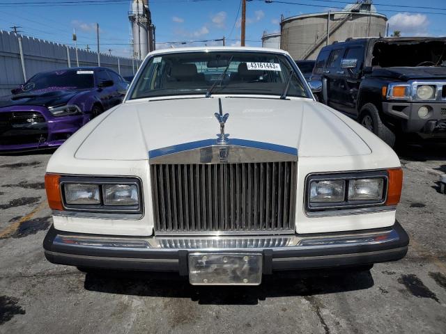 SCAZN02A3JCX23735 - 1988 ROLLS-ROYCE SILVER SPU BEIGE photo 5