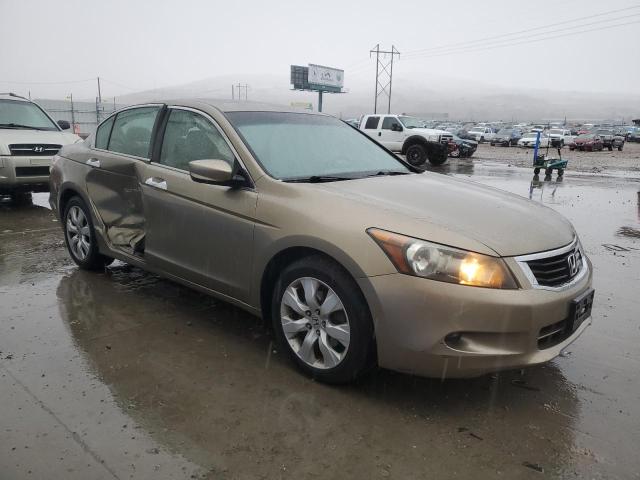 1HGCP36808A013698 - 2008 HONDA ACCORD EXL TAN photo 4