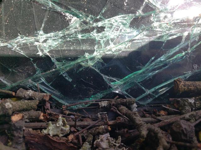 3TYRX5GN3NT060767 - 2022 TOYOTA TACOMA ACCESS CAB ვერცხლისფერი ფოტო 12