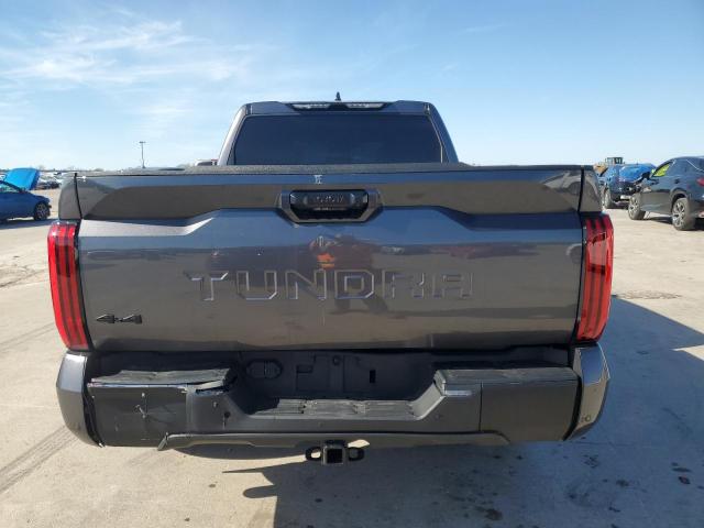 5TFLA5EC0PX010989 - 2023 TOYOTA TUNDRA CREWMAX SR5 GRAY photo 6