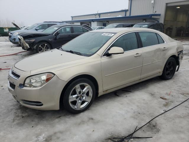 1G1ZC5EB2AF145232 - 2010 CHEVROLET MALIBU 1LT 米色 照片 1