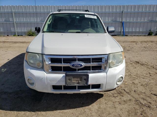 1FMCU0D72AKC06530 - 2010 FORD ESCAPE XLT WHITE photo 5