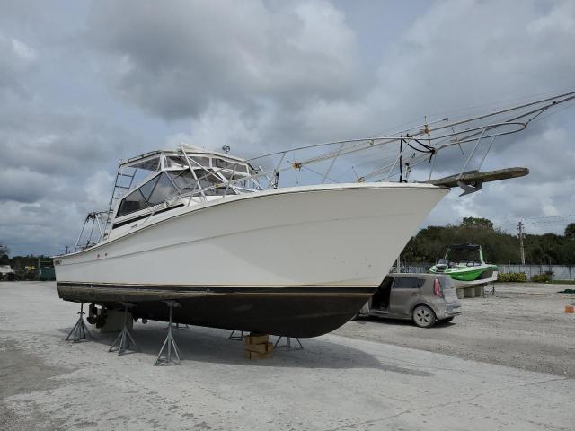 TPP20095L889 - 1989 TPP VESSEL أبيض صورة 1