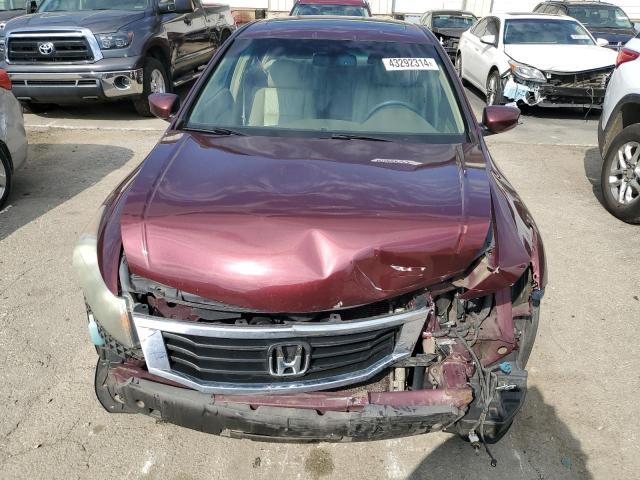 1HGCP26808A101662 - 2008 HONDA ACCORD EXL MAROON photo 5