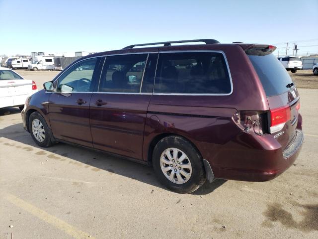 5FNRL38758B087571 - 2008 HONDA ODYSSEY EXL PURPLE photo 2