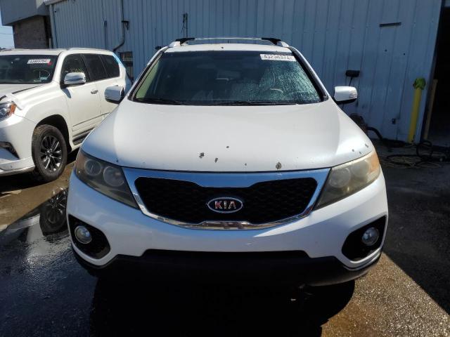 5XYKT4A17BG059624 - 2011 KIA SORENTO BASE WHITE photo 5