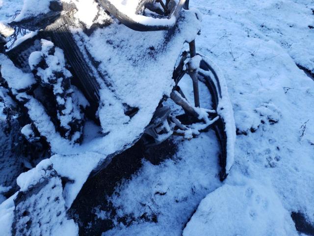 4UF14SNW4ET102174 - 2014 ARCTIC CAT SNOWMOBILE 烧焦的 照片 10