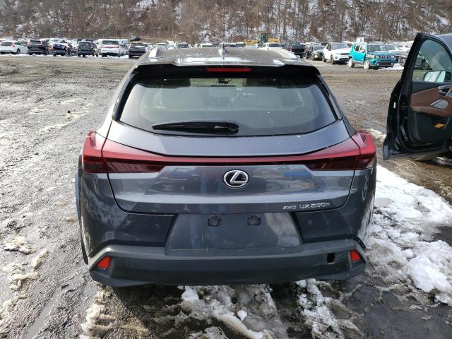 JTHP9JBH1P2066115 - 2023 LEXUS UX 250H PREMIUM GRAY photo 6