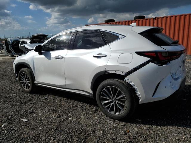 JTJGDCAZ7R5019269 - 2024 LEXUS NX 250 PREMIUM WHITE photo 2