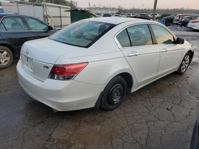 5KBCP3F80AB010040 - 2010 HONDA ACCORD EXL WHITE photo 3