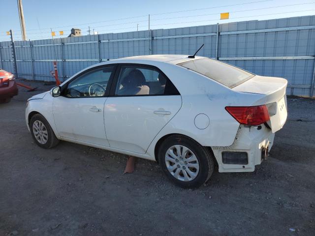 KNAFU4A20A5809490 - 2010 KIA FORTE EX WHITE photo 2