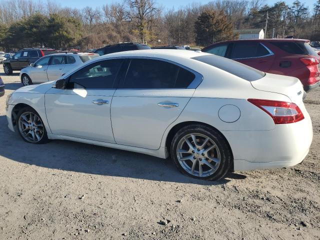 1N4AA5AP2BC851671 - 2011 NISSAN MAXIMA S WHITE photo 2