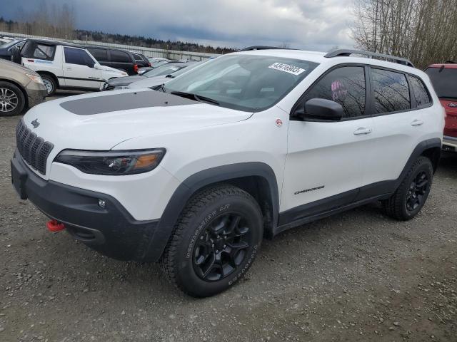 1C4PJMBX8MD233894 - 2021 JEEP CHEROKEE TRAILHAWK WHITE photo 1