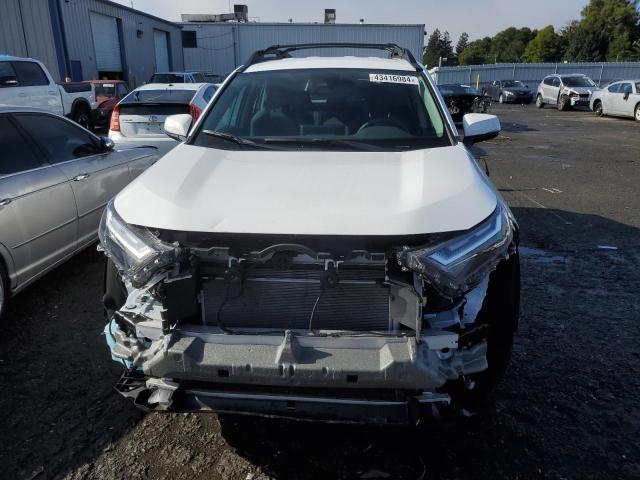 2T3UWRFV5PW184512 - 2023 TOYOTA RAV4 WOODLAND EDITION WHITE photo 5