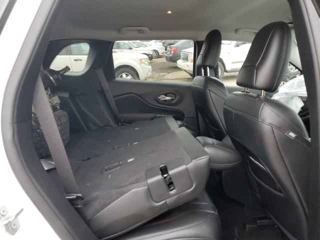 1C4PJMBX7MD108286 - 2021 JEEP CHEROKEE TRAILHAWK Ağ foto 10