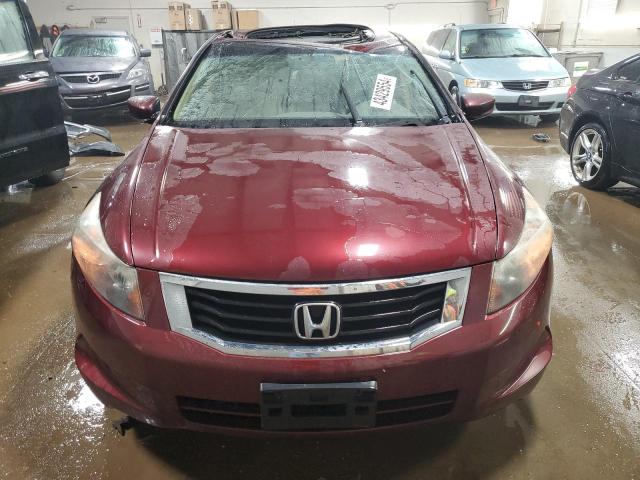 1HGCP26829A106430 - 2009 HONDA ACCORD EXL BURGUNDY photo 5