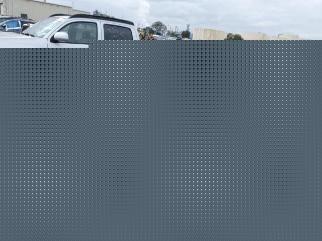 2023 TESLA MODEL Y, null