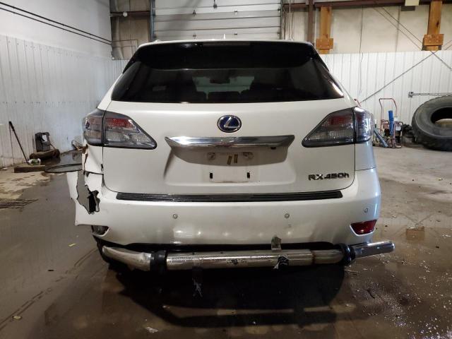 JTJBC1BA1B2423718 - 2011 LEXUS RX 450 WHITE photo 6