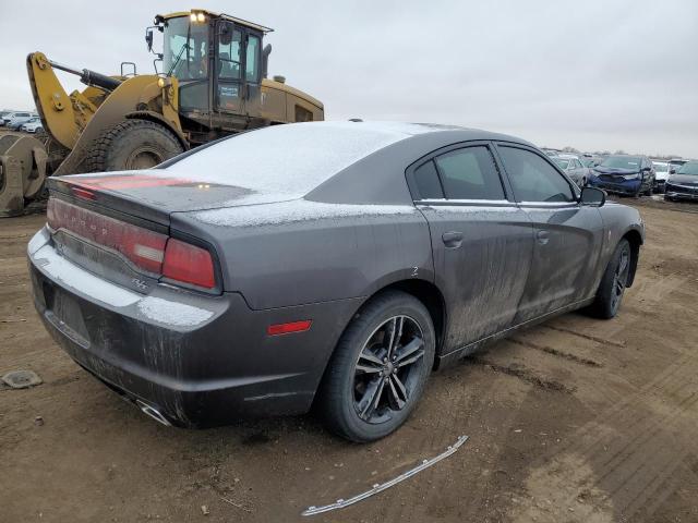 2C3CDXDT3EH360899 - 2014 DODGE CHARGER R/T GRAY photo 3