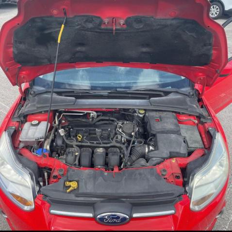 1FAHP3F2XCL151302 - 2012 FORD FOCUS SE RED photo 7