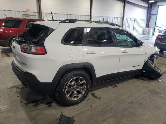1C4PJMBX2LD621511 - 2020 JEEP CHEROKEE TRAILHAWK WHITE photo 3