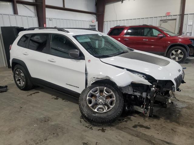 1C4PJMBX2LD621511 - 2020 JEEP CHEROKEE TRAILHAWK WHITE photo 4