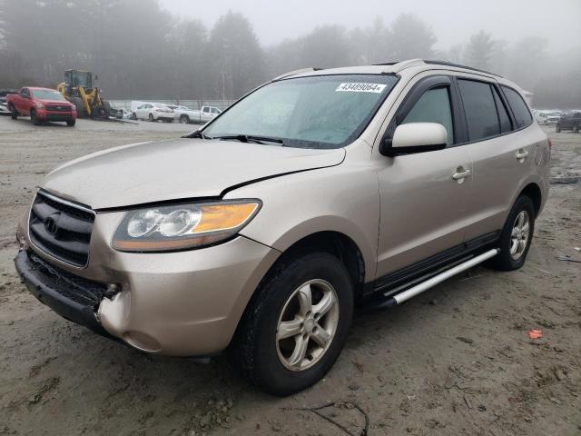 5NMSG13D97H100648 - 2007 HYUNDAI SANTA FE GLS BEIGE photo 1