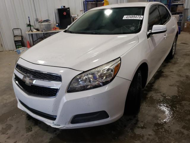 1G11C5SA9DF235877 - 2013 CHEVROLET MALIBU 1LT Blanc photo 1