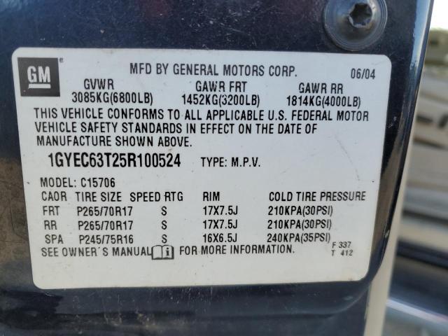 1GYEC63T25R100524 - 2005 CADILLAC ESCALADE LUXURY BLUE photo 13