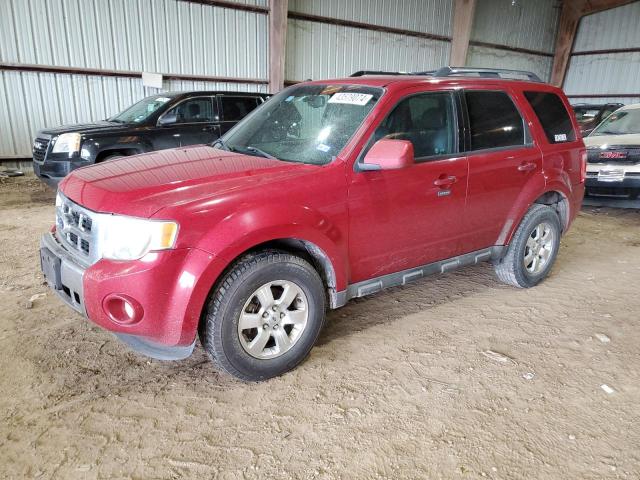 2010 FORD ESCAPE LIMITED, 