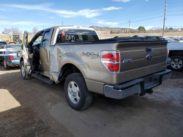 1FTFX1EF0DKE79572 - 2013 FORD F150 SUPER CAB GOLD photo 2