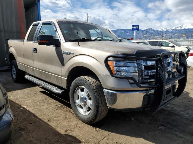 1FTFX1EF0DKE79572 - 2013 FORD F150 SUPER CAB GOLD photo 4