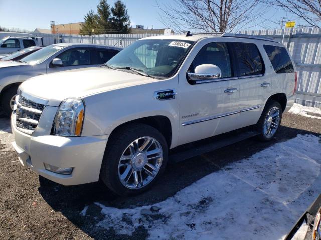 1GYS4FEJ2DR155663 - 2013 CADILLAC ESCALADE PLATINUM HYBRID BEIGE photo 1