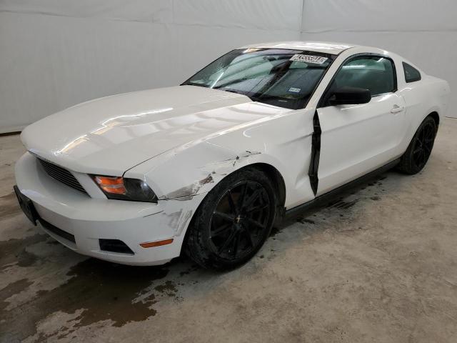 1ZVBP8AN9A5105487 - 2010 FORD MUSTANG WHITE photo 1