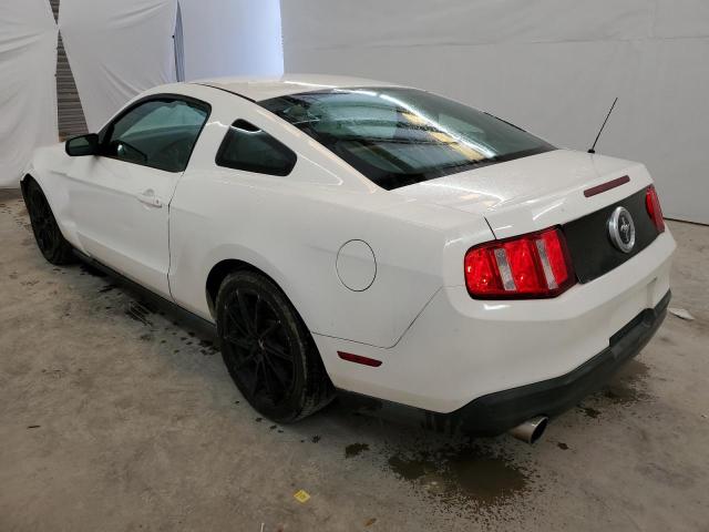 1ZVBP8AN9A5105487 - 2010 FORD MUSTANG WHITE photo 2