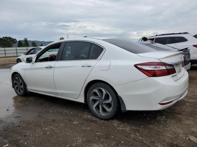 1HGCR2F71GA012862 - 2016 HONDA ACCORD EX WHITE photo 2