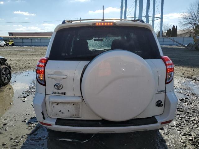 2T3BF4DV0BW177506 - 2011 TOYOTA RAV4 WHITE photo 6