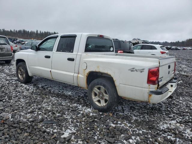 1D7RW3GK5BS633850 - 2011 DODGE DAKOTA SLT WHITE photo 2