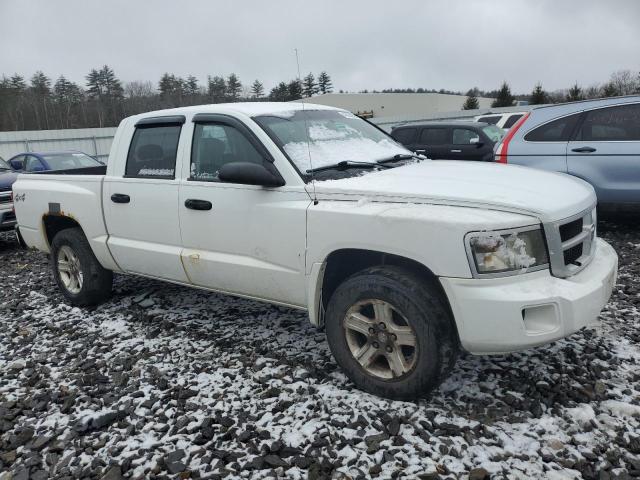 1D7RW3GK5BS633850 - 2011 DODGE DAKOTA SLT WHITE photo 4