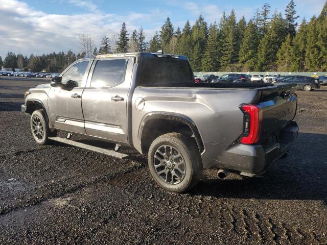 5TFNA5DB4RX169373 - 2024 TOYOTA TUNDRA CREWMAX PLATINUM ნაცრისფერი ფოტო 2