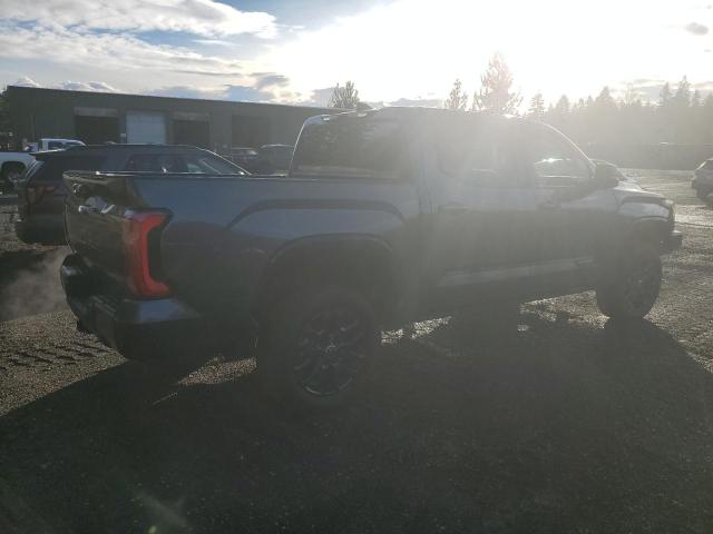 5TFNA5DB4RX169373 - 2024 TOYOTA TUNDRA CREWMAX PLATINUM ნაცრისფერი ფოტო 3