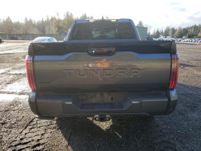5TFNA5DB4RX169373 - 2024 TOYOTA TUNDRA CREWMAX PLATINUM ნაცრისფერი ფოტო 6