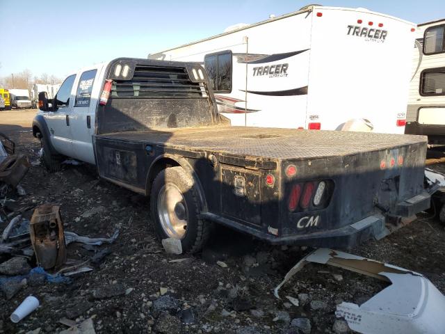 1FD0W5HT0EEA32222 - 2014 FORD F550 SUPER DUTY WHITE photo 2