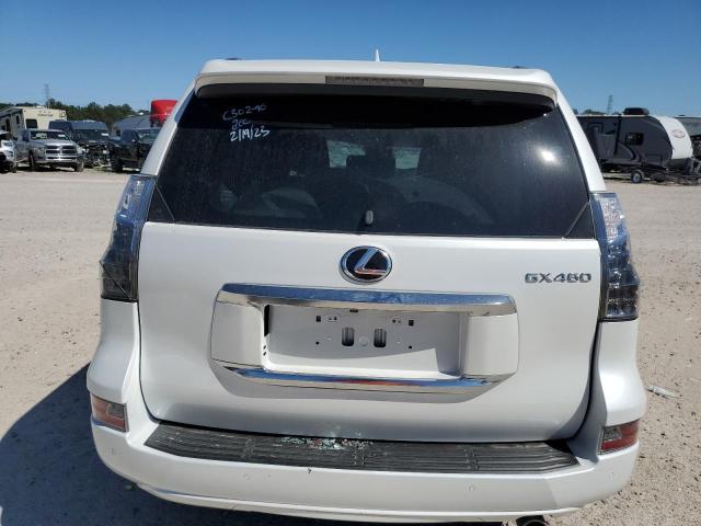 JTJAM7BX8P5340244 - 2023 LEXUS GX 460 WHITE photo 6